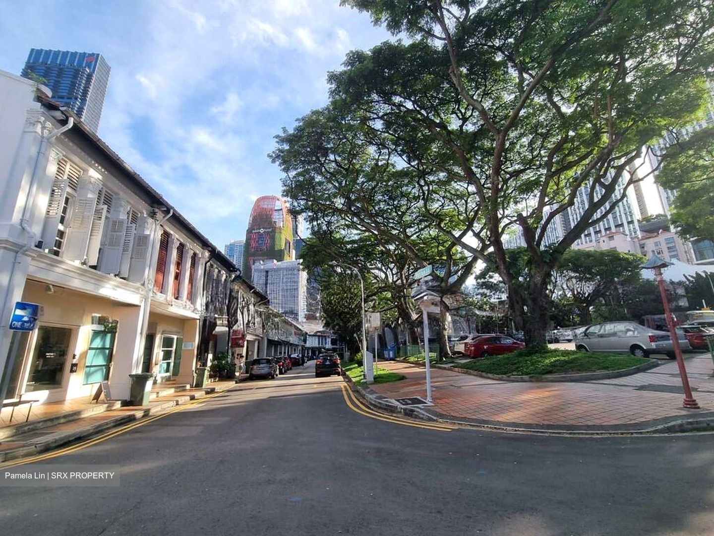Ann Siang Road (D1), Shop House #506523361